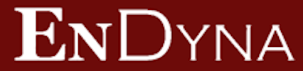 Endyna logo